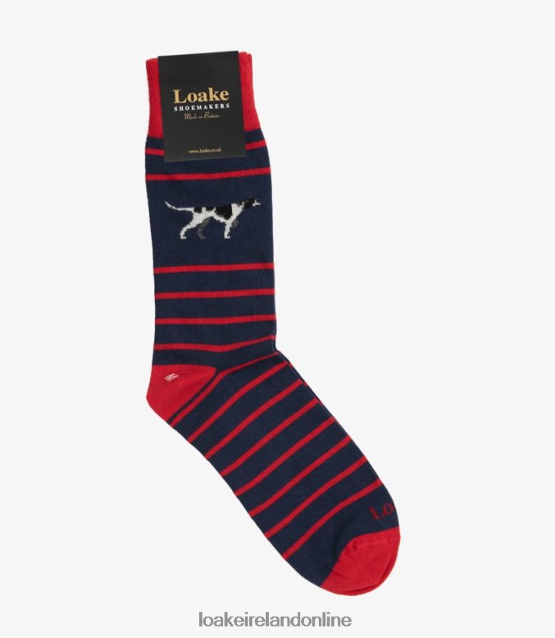 Loake 26804V251 Pointer Socks Navy Accessories